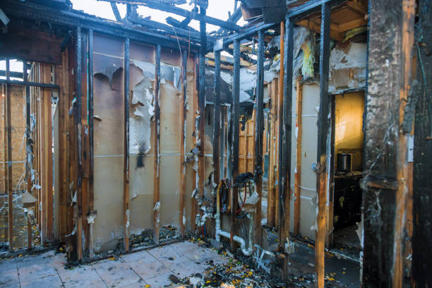 Professional Smoke Damage Removal technician working in Franklin, NJ